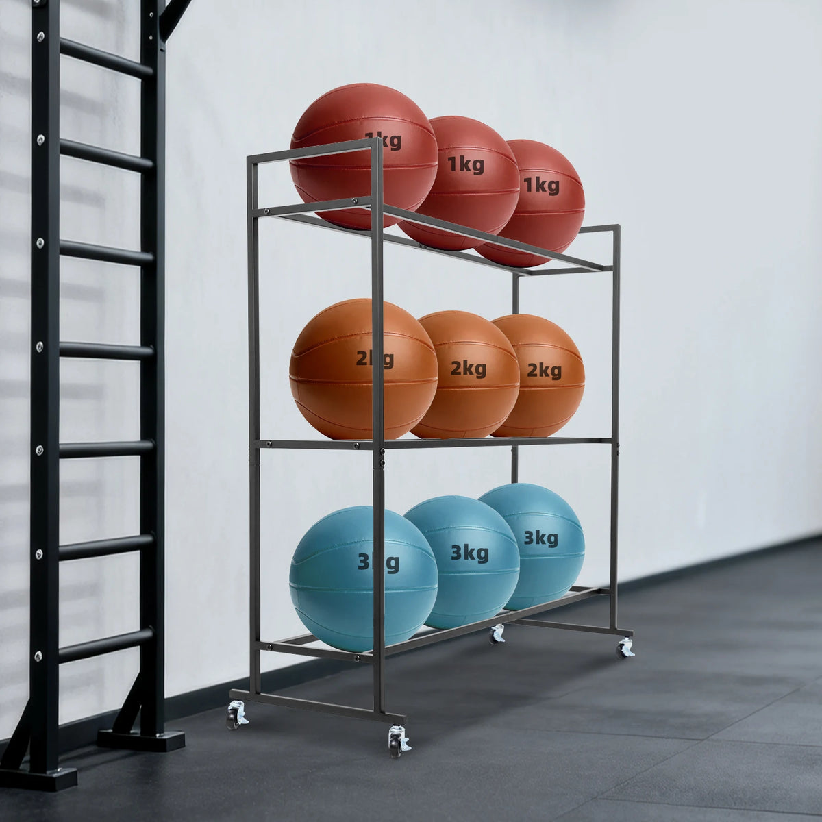 Heavy Duty Exercise Ball Storage Rack and Yoga Ball Organizer