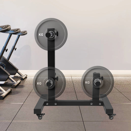 Heavy Duty Steel Weight Plate Storage Rack With Six Pegs