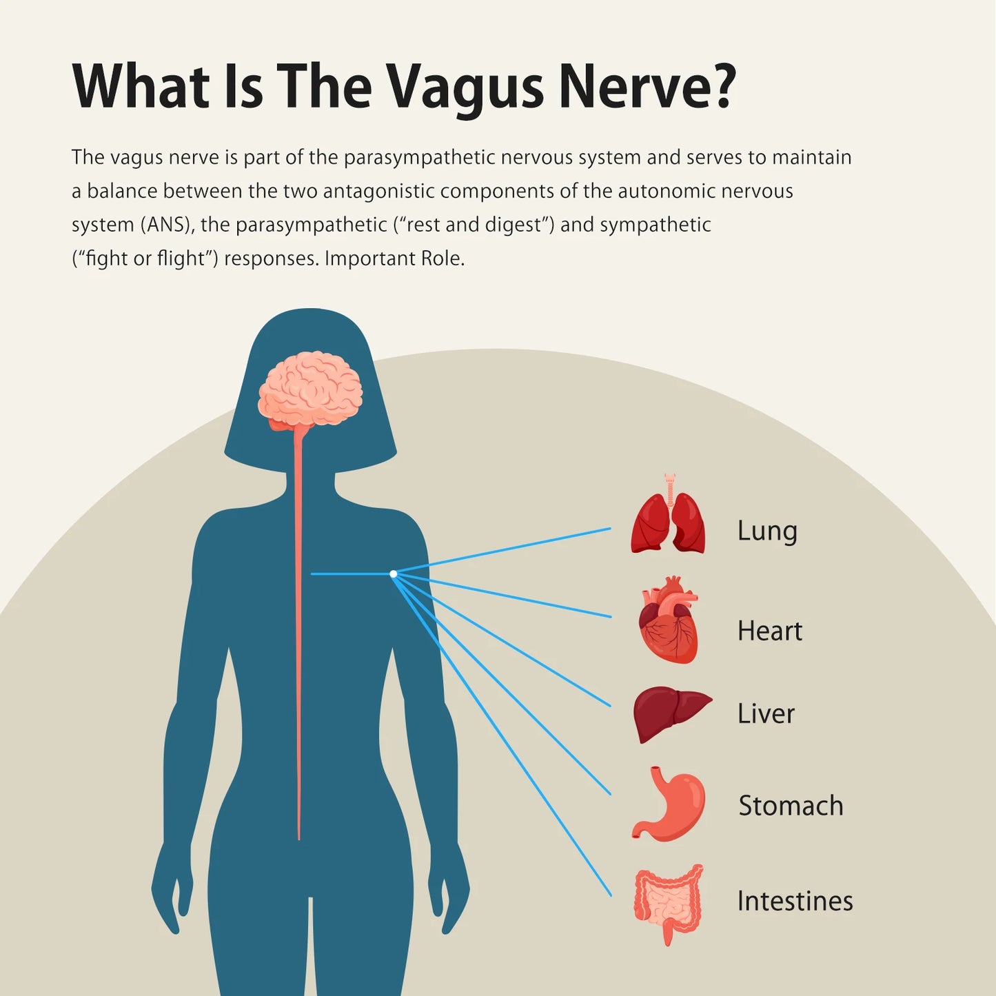 ZenoWell Vagus Nerve Stimulation Device for relaxation
