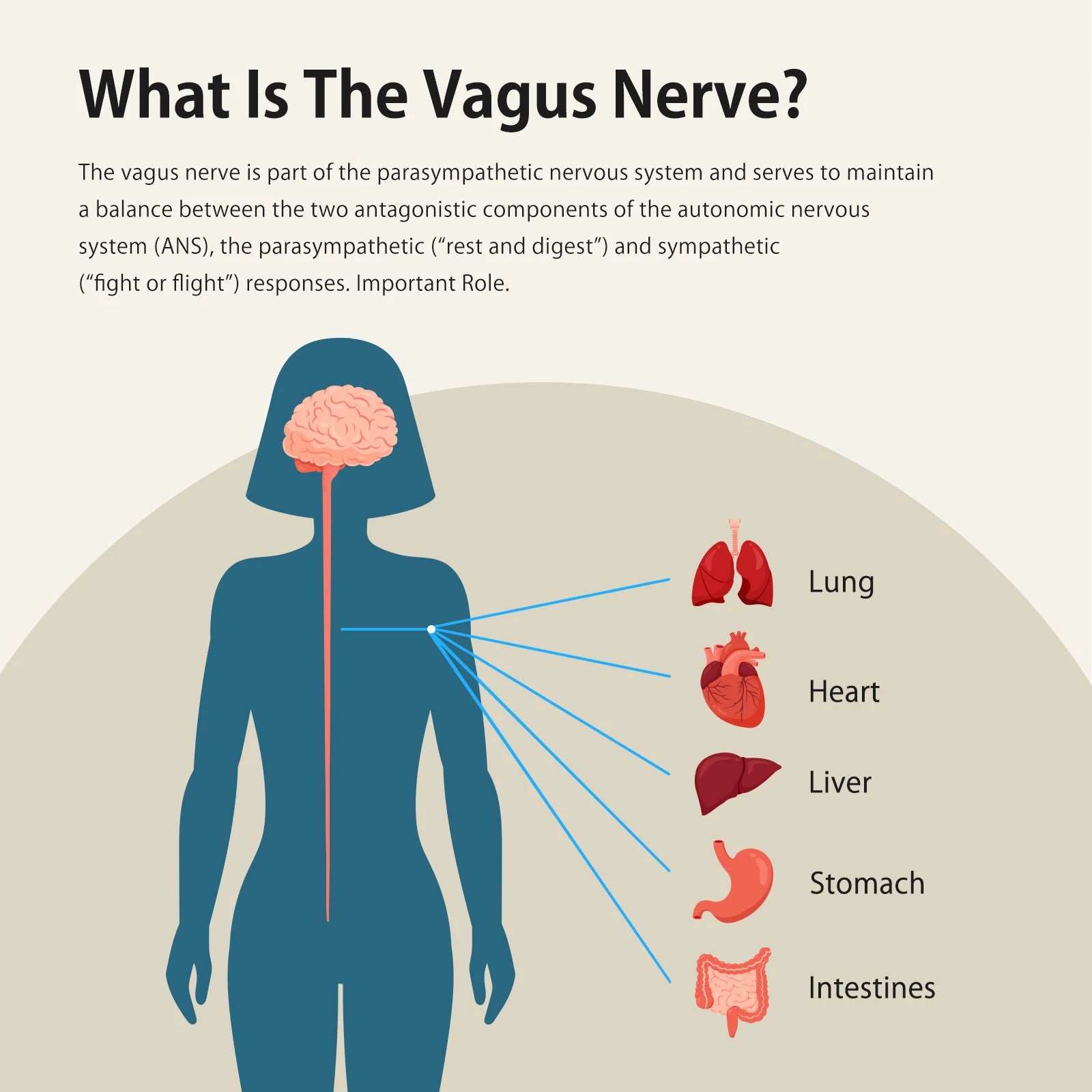 ZenoWell Vagus Nerve Stimulation Device for relaxation