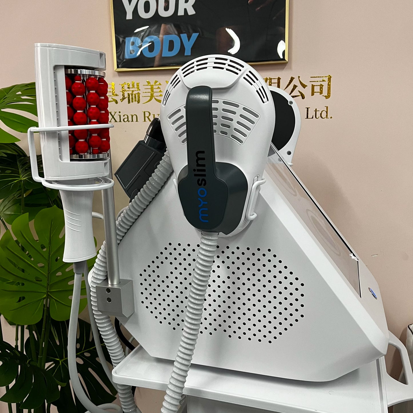 MYOSLIM 360 Degree Vacuum Massage Machine For Cellulite And Slimming