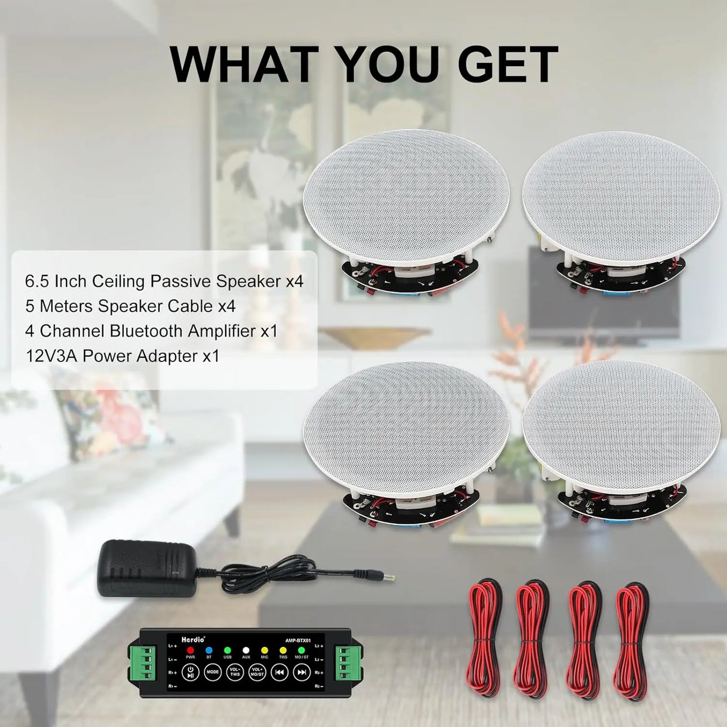 Herdio Ceiling Bluetooth Speaker System With Amplifier